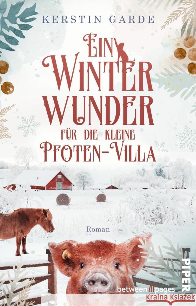 Ein Winterwunder für die kleine Pfoten-Villa Garde, Kerstin 9783492509060