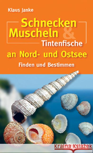 Schnecken, Muscheln & Tintenfische an Nord- und Ostsee : Finden und Bestimmen Janke, Klaus   9783494014562