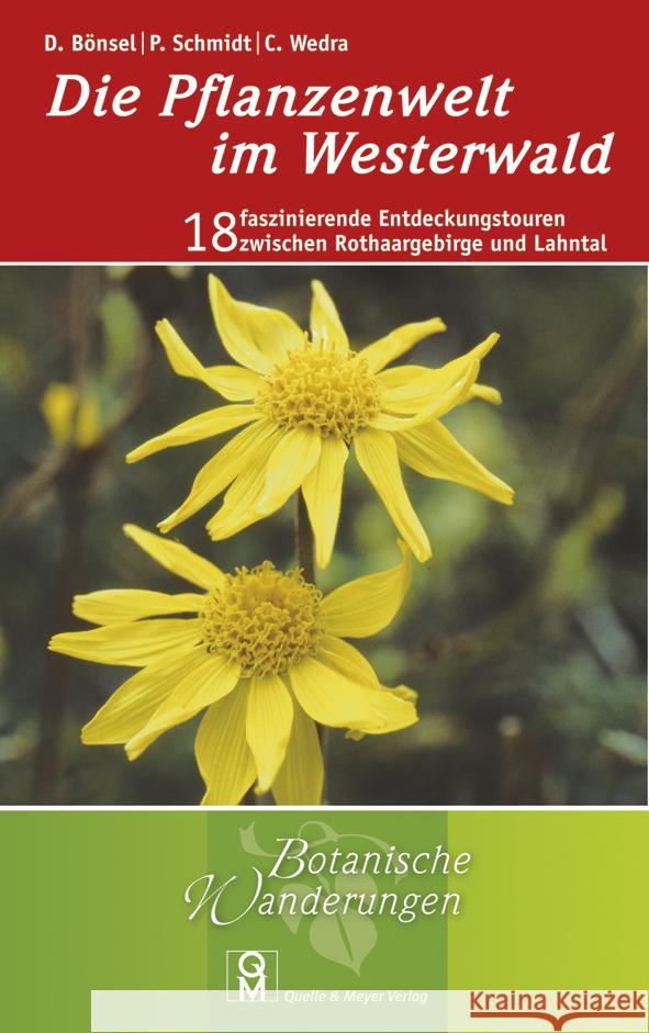 Die Pflanzenwelt im Westerwald : 18 faszinierende Entdeckungstouren zwischen Rothaargebirge und Lahntal Bönsel, Dirk; Schmidt, Petra; Wedra, Christel 9783494015309