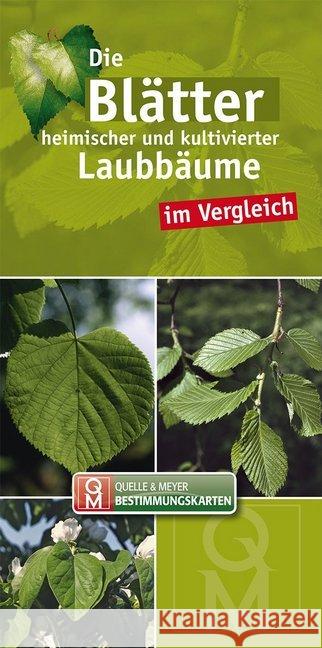 Die Blätter heimischer und kultivierter Laubbäume im Vergleich  9783494015521 Quelle & Meyer
