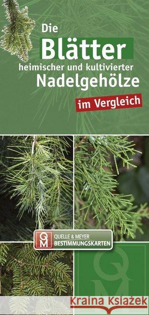 Die Blätter heimischer und kultivierter Nadelgehölze im Vergleich  9783494015552 Quelle & Meyer