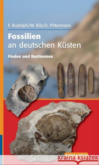 Fossilien an deutschen Küsten : Finden und Bestimmen Rudolph, Frank; Bilz, Wolfgang; Pittermann, Dirk 9783494015903