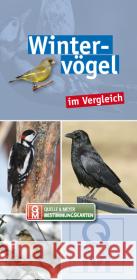 Wintervögel im Vergleich  9783494016115 Quelle & Meyer