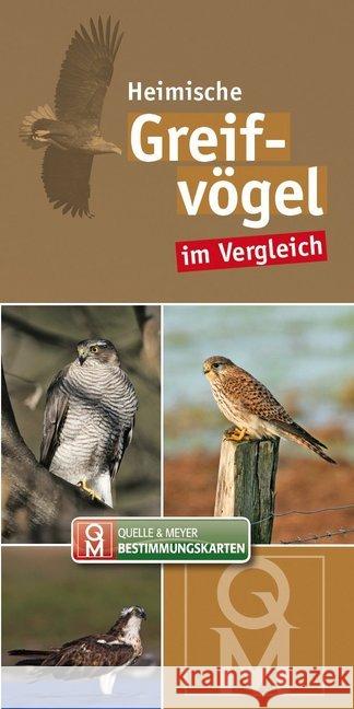 Heimische Greifvögel im Vergleich, Bestimmungskarte  9783494016122 Quelle & Meyer
