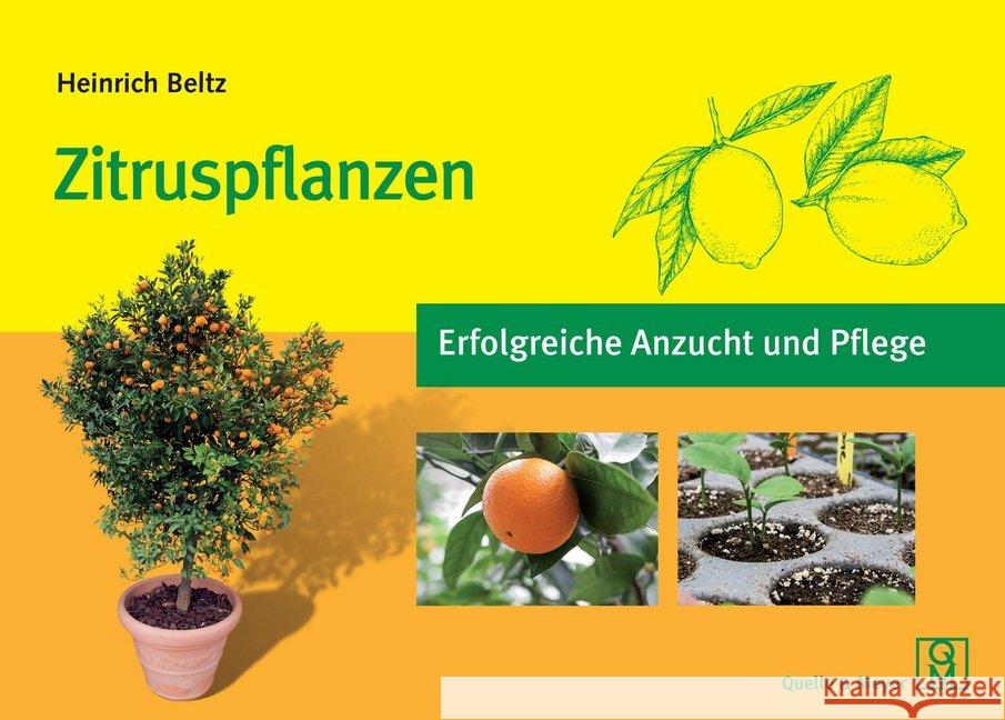 Zitruspflanzen : Erfolgreiche Anzucht und Pflege Beltz, Heinrich 9783494017181