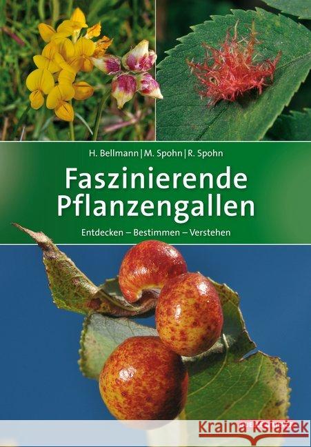 Faszinierende Pflanzengallen : Entdecken - Bestimmen - Verstehen Bellmann, Heiko; Spohn, Margot; Spohn, Roland 9783494017525