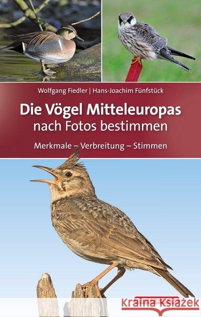 Die Vögel Mitteleuropas Fiedler, Wolfgang, Fünfstück, Hans-Joachim 9783494017648 Quelle & Meyer