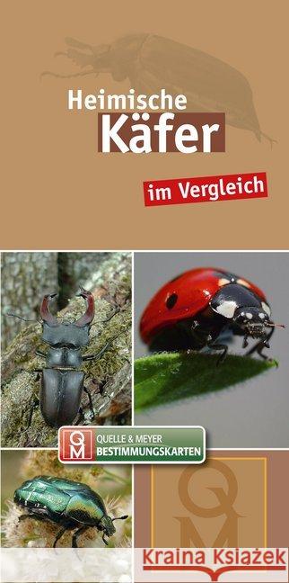 Heimische Käfer, Bestimmungkarten : im Vergleich  9783494017747 Quelle & Meyer