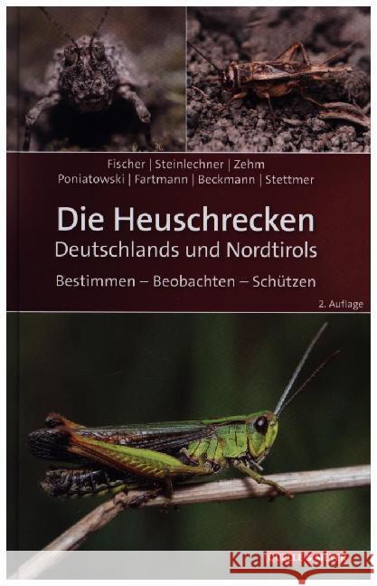 Die Heuschrecken Deutschlands und Nordtirols : Bestimmen - Beobachten - Schützen Fischer, Jürgen; Steinlechner, Daniela; Zehm, Andreas 9783494017952