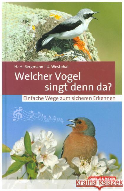 Welcher Vogel singt denn da? : Einfache Wege zum sicheren Erkennen Bergmann, Hans-Heiner; Westphal, Uwe 9783494017969 Quelle & Meyer