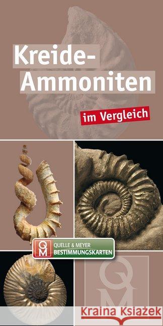 Kreide-Ammoniten im Vergleich  9783494017983 Quelle & Meyer