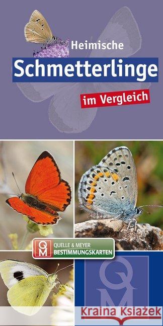 Heimische Schmetterlinge : im Vergleich  9783494018096 Quelle & Meyer