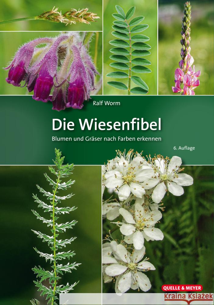 Die Wiesenfibel Worm, Ralf 9783494018577