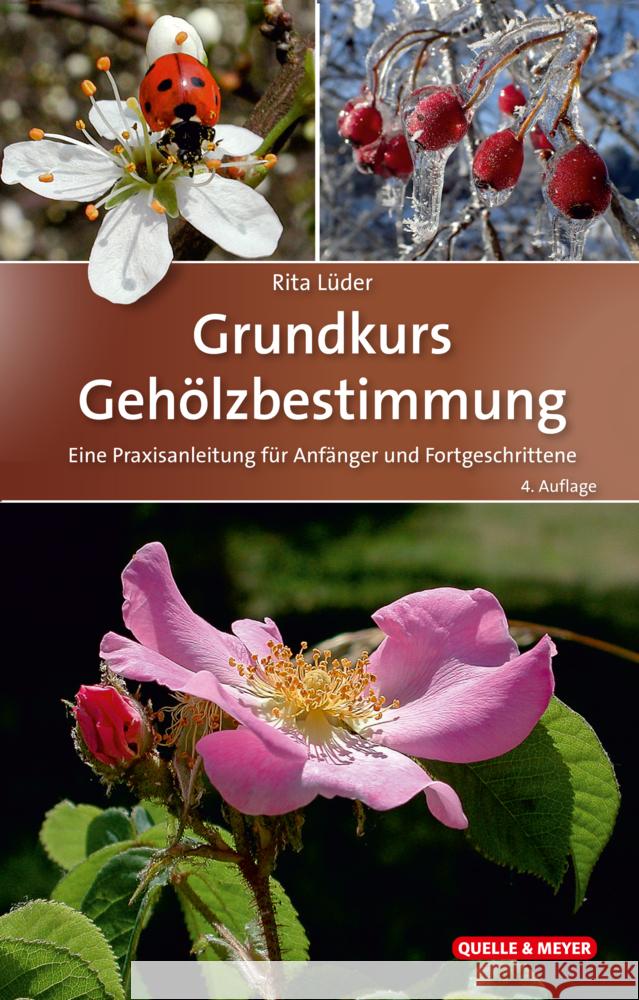 Grundkurs Gehölzbestimmung Lüder, Rita 9783494019154 Quelle & Meyer