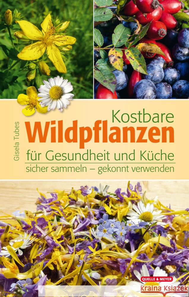 Kostbare Wildpflanzen für Gesundheit und Küche Tubes, Gisela 9783494019239 Quelle & Meyer