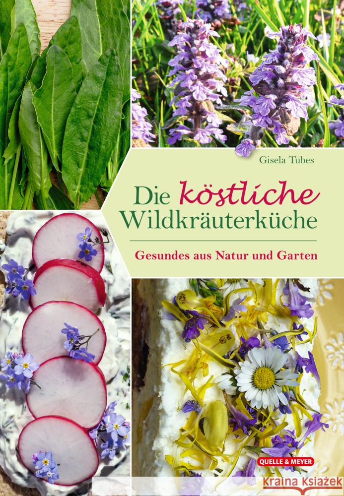 Die köstliche Wildkräuterküche Tubes, Gisela 9783494019246 Quelle & Meyer