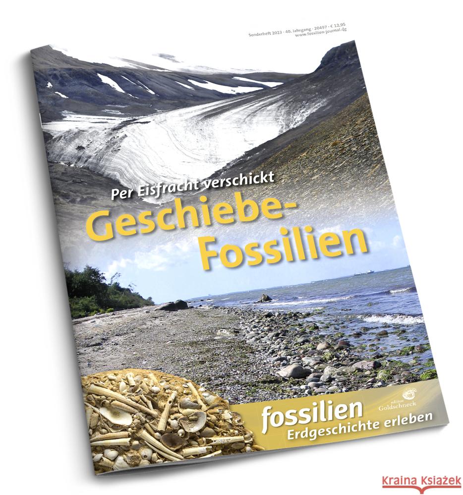 Geschiebe-Fossilien Lehmann, Jens 9783494019550 Quelle & Meyer