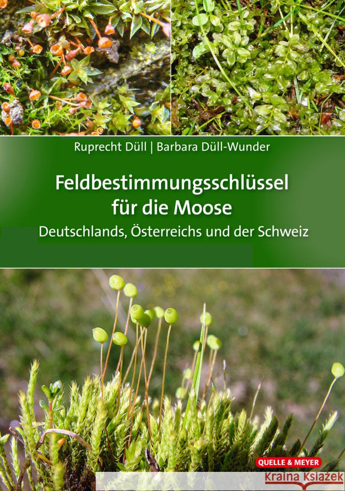 Feldbestimmungsschlüssel für die Moose Deutschlands, Österreichs und der Schweiz Düll, Ruprecht, Düll-Wunder, Barbara 9783494019673 Quelle & Meyer