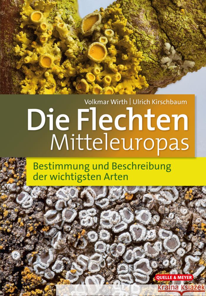 Die Flechten Mitteleuropas Wirth, Volkmar, Kirschbaum, Ulrich 9783494019703 Quelle & Meyer