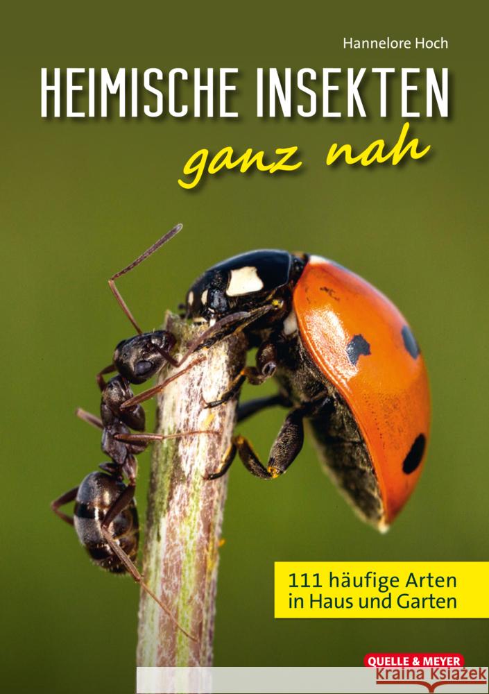 Heimische Insekten ganz nah Hoch, Hannelore 9783494019802