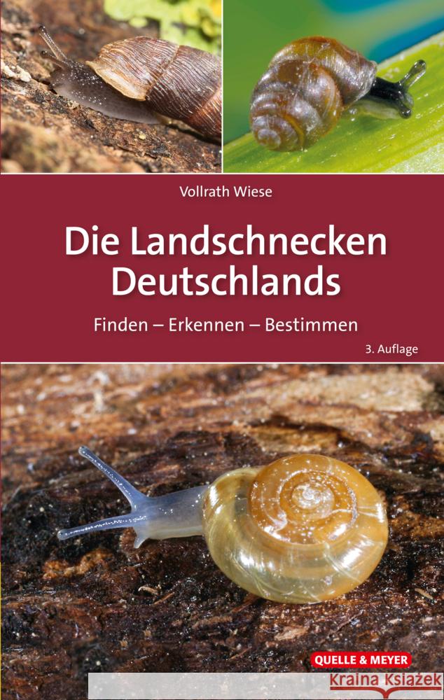 Die Landschnecken Deutschlands Wiese, Vollrath 9783494019925