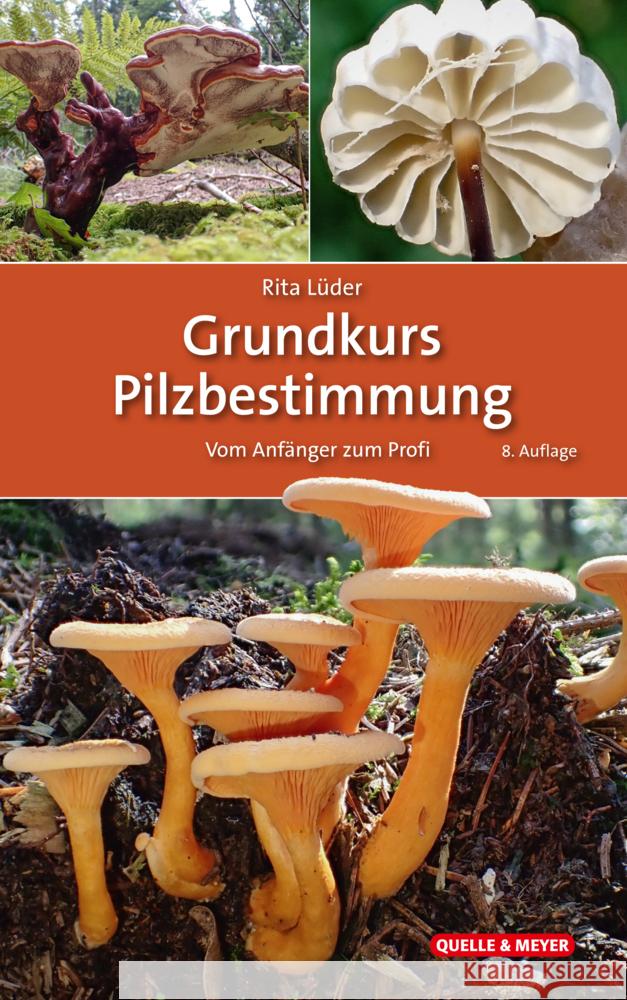 Grundkurs Pilzbestimmung Lüder, Rita 9783494019970 Quelle & Meyer