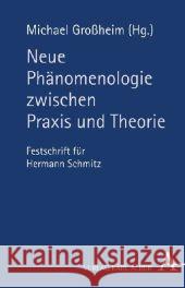 Neue Phänomenologie zwischen Praxis und Theorie : Festschrift für Hermann Schmitz Großheim, Michael   9783495483091