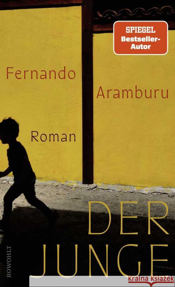 Der Junge Aramburu, Fernando 9783498007386