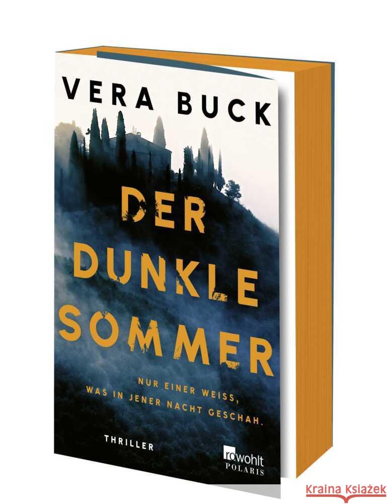 Der dunkle Sommer Buck, Vera 9783499016851