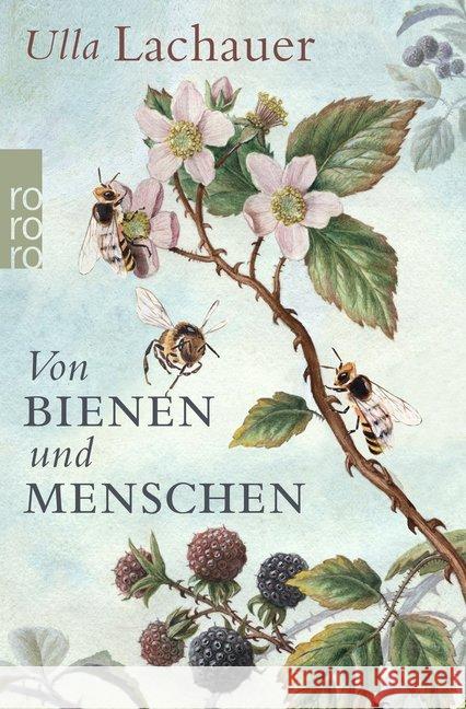 Von Bienen und Menschen : Eine Reise durch Europa Lachauer, Ulla 9783499632433