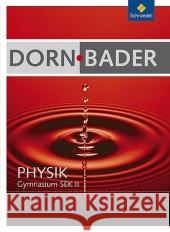 Schülerband, m. CD-ROM Dorn, Friedrich Bader, Franz  9783507107755 Schroedel