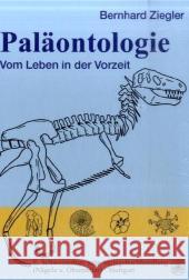 Paläontologie : Vom Leben in der Vorzeit Ziegler, Bernhard   9783510652303