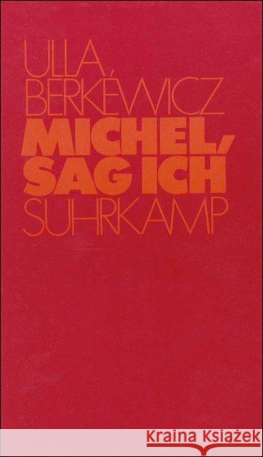 Michel, sag ich Berkéwicz, Ulla   9783518046937 Suhrkamp