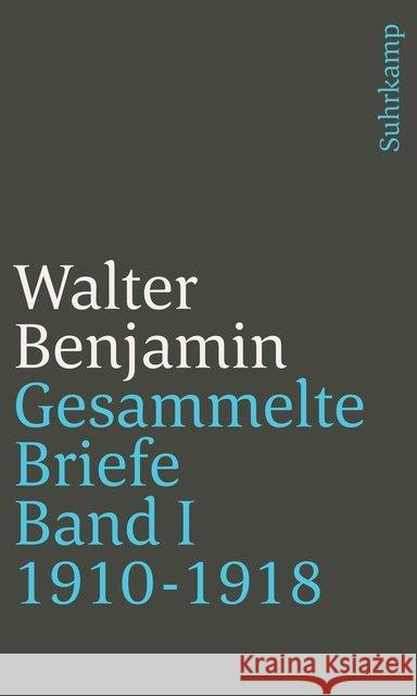 Gesammelte Briefe. 6 Bände Benjamin, Walter 9783518241257 Suhrkamp