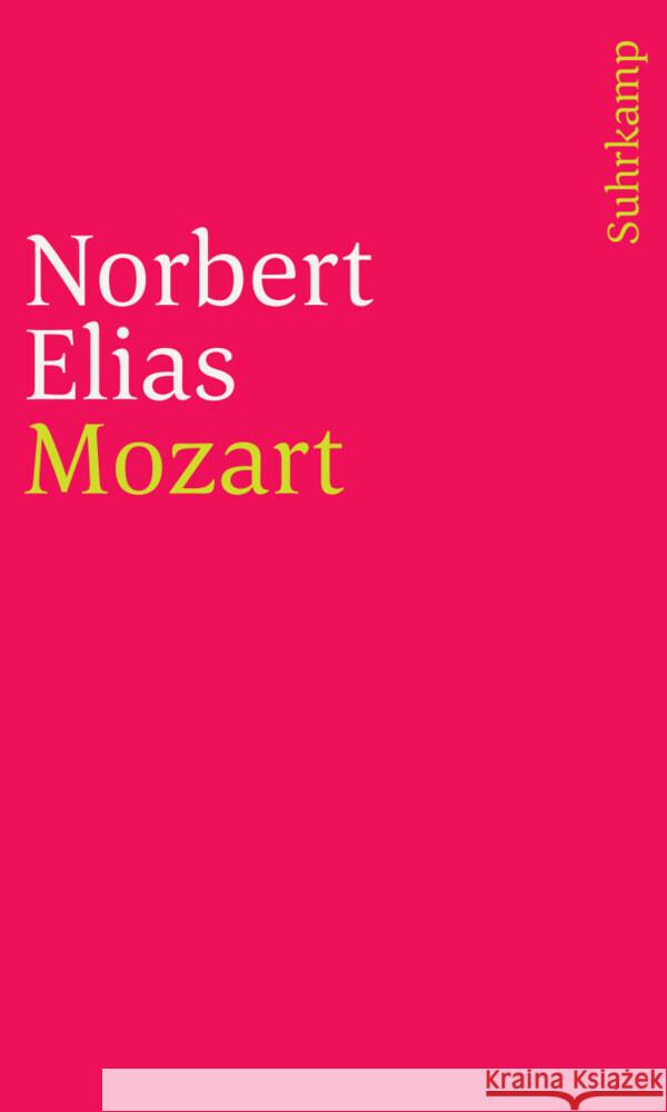 Gesammelte Schriften in 19 Bänden Elias, Norbert 9783518244272