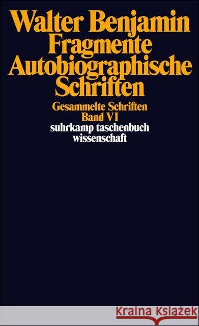 Gesammelte Schriften. Bd.6 : Fragmente, Autobiographische Schriften Benjamin, Walter   9783518285367 Suhrkamp