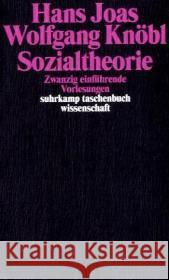 Sozialtheorie : Zwanzig einführende Vorlesungen Joas, Hans Knöbl, Wolfgang  9783518292693 Suhrkamp