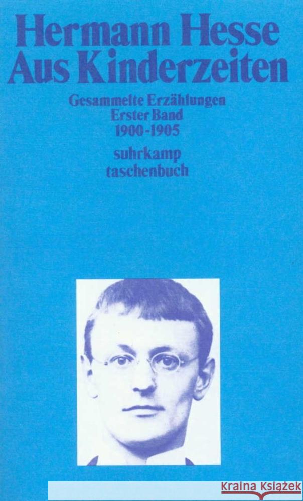 Gesammelte Erzählungen Hesse, Hermann 9783518368473 Suhrkamp Verlag
