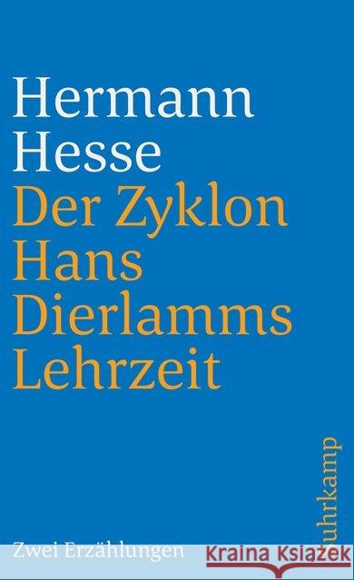 Der Zyklon und Hans Dierlamms Lehrzeit Hesse, Hermann 9783518378779 Suhrkamp