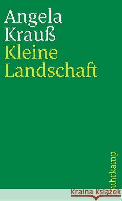 Kleine Landschaft Krauß, Angela 9783518383483 Suhrkamp