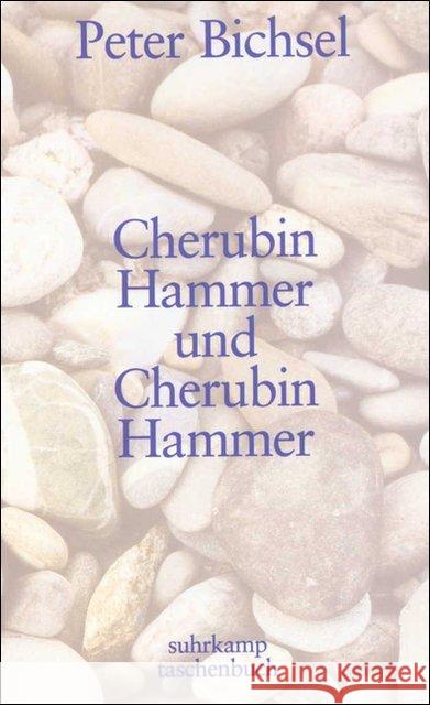 Cherubin Hammer und Cherubin Hammer Bichsel, Peter   9783518396650 Suhrkamp