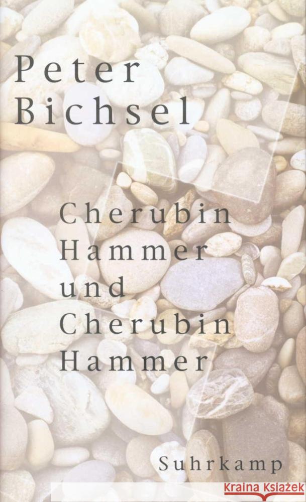 Cherubin Hammer und Cherubin Hammer Bichsel, Peter   9783518410325