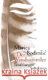 Der Windsammler : Erzählungen Bodrozic, Marica   9783518419144