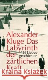 Das Labyrinth der zärtlichen Kraft, m. DVD : 166 Liebesgeschichten Kluge, Alexander   9783518421253 Suhrkamp