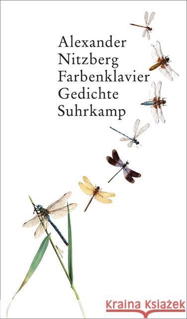 Farbenklavier : Gedichte Nitzberg, Alexander 9783518422779 Suhrkamp