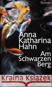 Am Schwarzen Berg : Roman Hahn, Anna K. 9783518422823 Suhrkamp