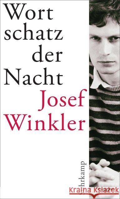 Wortschatz der Nacht Winkler, Josef 9783518423578