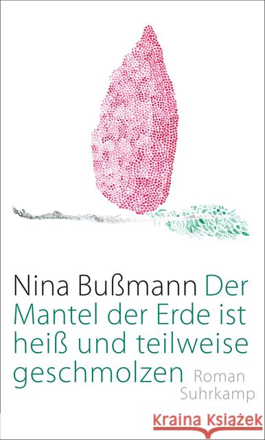 Der Mantel der Erde ist heiß und teilweise geschmolzen : Roman Bußmann, Nina 9783518425800 Suhrkamp