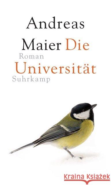 Die Universität : Roman Maier, Andreas 9783518427859