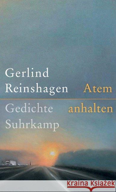 Atem anhalten : Gedichte Reinshagen, Gerlind 9783518427996 Suhrkamp